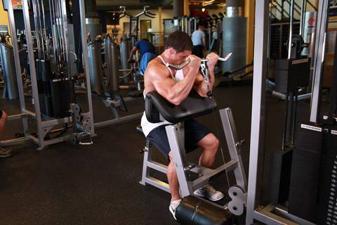 Kablo Preacher Curl — bitiş pozisyonu