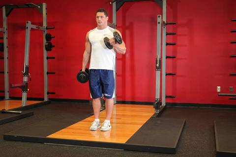 Dambıl Alternatif Bicep Curl — bitiş pozisyonu