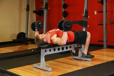 Dambıl Bench Press