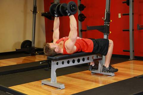 Dambıl Bench Press — bitiş pozisyonu