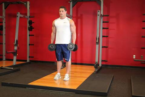 Dambıl Bicep Curl