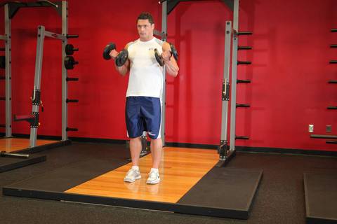 Dambıl Bicep Curl — bitiş pozisyonu