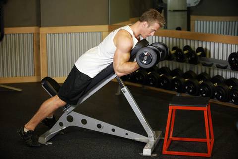 Dambıl Prone Incline Curl