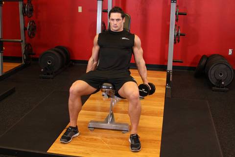 Flexor Eğimli Dambıl Curl