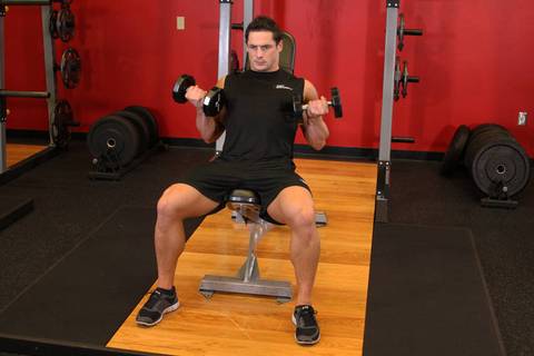 Flexor Eğimli Dambıl Curl — bitiş pozisyonu