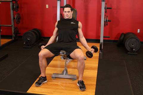 Eğimli İç Biceps Curlu