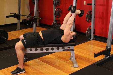 Lying Dumbbell Tricep Extension — bitiş pozisyonu