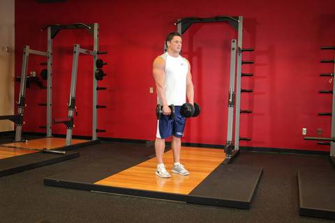 Standing Dambıl Ters Curl