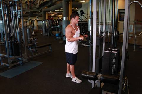 Triceps Pushdown — başlangıç pozisyonu