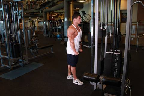 Triceps Pushdown — bitiş pozisyonu