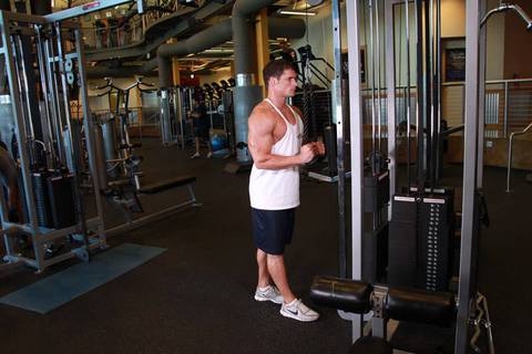 Triceps Pushdown Lastik Eki
