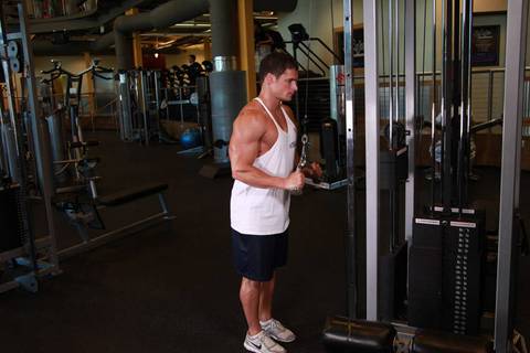 Triceps Pushdown V-Bar Eki