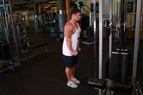 Triceps Pushdown V-Bar Eki — bitiş pozisyonu